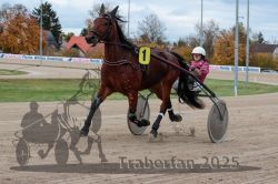 Dateiname=20251026_r06_003_R06_0015.jpg
Dateigröße=303KB
Abmessungen: 1000x667
hinzugefügt am: 28. Oktober 2025 20251026_r06_003_R06_0015.jpg