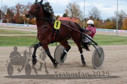 Dateiname=20251026_r06_004_R06_0018.jpg
Dateigröße=293KB
Abmessungen: 1000x667
hinzugefügt am: 28. Oktober 2025 20251026_r06_004_R06_0018.jpg