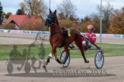 Dateiname=20251026_r06_011_R06_0072.jpg
Dateigröße=308KB
Abmessungen: 1000x667
hinzugefügt am: 28. Oktober 2025 20251026_r06_011_R06_0072.jpg