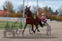 Dateiname=20251026_r06_013_R06_0086.jpg
Dateigröße=294KB
Abmessungen: 1000x667
hinzugefügt am: 28. Oktober 2025 20251026_r06_013_R06_0086.jpg