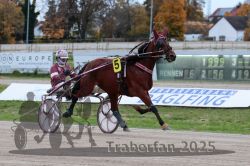 Dateiname=20251026_r06_021_R06_0117.jpg
Dateigröße=295KB
Abmessungen: 1000x667
hinzugefügt am: 28. Oktober 2025 20251026_r06_021_R06_0117.jpg