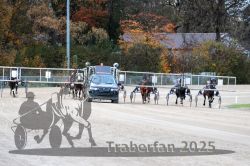 Dateiname=20251026_r07_001_R07_0002.jpg
Dateigröße=358KB
Abmessungen: 1000x667
hinzugefügt am: 28. Oktober 2025 20251026_r07_001_R07_0002.jpg