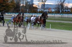 Dateiname=20251026_r07_004_R07_0016.jpg
Dateigröße=296KB
Abmessungen: 1000x667
hinzugefügt am: 28. Oktober 2025 20251026_r07_004_R07_0016.jpg