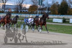 Dateiname=20251026_r07_008_R07_0027.jpg
Dateigröße=324KB
Abmessungen: 1000x667
hinzugefügt am: 28. Oktober 2025 20251026_r07_008_R07_0027.jpg