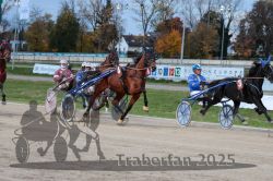 Dateiname=20251026_r07_010_R07_0035.jpg
Dateigröße=337KB
Abmessungen: 1000x667
hinzugefügt am: 28. Oktober 2025 20251026_r07_010_R07_0035.jpg