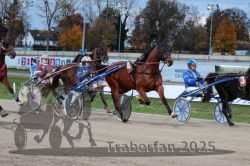 Dateiname=20251026_r07_012_R07_0040.jpg
Dateigröße=351KB
Abmessungen: 1000x667
hinzugefügt am: 28. Oktober 2025 20251026_r07_012_R07_0040.jpg