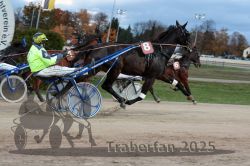 Dateiname=20251026_r07_018_R07_0057.jpg
Dateigröße=295KB
Abmessungen: 1000x667
hinzugefügt am: 28. Oktober 2025 20251026_r07_018_R07_0057.jpg