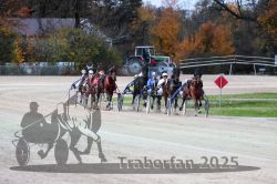 Dateiname=20251026_r07_019_R07_0060.jpg
Dateigröße=317KB
Abmessungen: 1000x667
hinzugefügt am: 28. Oktober 2025 20251026_r07_019_R07_0060.jpg