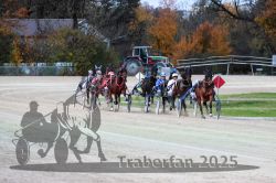 Dateiname=20251026_r07_020_R07_0064.jpg
Dateigröße=323KB
Abmessungen: 1000x667
hinzugefügt am: 28. Oktober 2025 20251026_r07_020_R07_0064.jpg