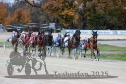 Dateiname=20251026_r07_021_R07_0069.jpg
Dateigröße=322KB
Abmessungen: 1000x667
hinzugefügt am: 28. Oktober 2025 20251026_r07_021_R07_0069.jpg