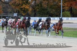 Dateiname=20251026_r07_023_R07_0079.jpg
Dateigröße=320KB
Abmessungen: 1000x667
hinzugefügt am: 28. Oktober 2025 20251026_r07_023_R07_0079.jpg