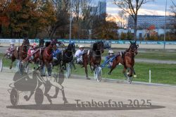 Dateiname=20251026_r07_026_R07_0091.jpg
Dateigröße=339KB
Abmessungen: 1000x667
hinzugefügt am: 28. Oktober 2025 20251026_r07_026_R07_0091.jpg