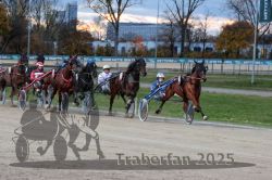 Dateiname=20251026_r07_028_R07_0099.jpg
Dateigröße=326KB
Abmessungen: 1000x667
hinzugefügt am: 28. Oktober 2025 20251026_r07_028_R07_0099.jpg