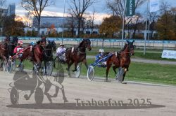 Dateiname=20251026_r07_029_R07_0104.jpg
Dateigröße=340KB
Abmessungen: 1000x667
hinzugefügt am: 28. Oktober 2025 20251026_r07_029_R07_0104.jpg