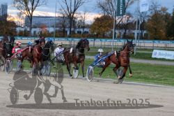 Dateiname=20251026_r07_030_R07_0105.jpg
Dateigröße=341KB
Abmessungen: 1000x667
hinzugefügt am: 28. Oktober 2025 20251026_r07_030_R07_0105.jpg