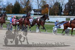 Dateiname=20251026_r07_032_R07_0116.jpg
Dateigröße=344KB
Abmessungen: 1000x667
hinzugefügt am: 28. Oktober 2025 20251026_r07_032_R07_0116.jpg