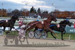 Dateiname=20251026_r07_035_R07_0136.jpg
Dateigröße=294KB
Abmessungen: 1000x667
hinzugefügt am: 28. Oktober 2025 20251026_r07_035_R07_0136.jpg