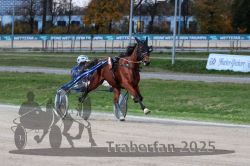 Dateiname=20251026_r07_043_R07_0174.jpg
Dateigröße=304KB
Abmessungen: 1000x667
hinzugefügt am: 28. Oktober 2025 20251026_r07_043_R07_0174.jpg