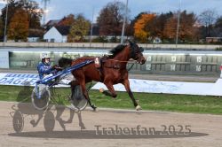 Dateiname=20251026_r07_045_R07_0181.jpg
Dateigröße=298KB
Abmessungen: 1000x667
hinzugefügt am: 28. Oktober 2025 20251026_r07_045_R07_0181.jpg