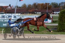 Dateiname=20251026_r07_052_R07_0195.jpg
Dateigröße=294KB
Abmessungen: 1000x667
hinzugefügt am: 28. Oktober 2025 20251026_r07_052_R07_0195.jpg