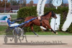 Dateiname=20251026_r07_055_R07_0199.jpg
Dateigröße=305KB
Abmessungen: 1000x667
hinzugefügt am: 28. Oktober 2025 20251026_r07_055_R07_0199.jpg