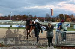 Dateiname=20251026_r07_058_R07_0218.jpg
Dateigröße=312KB
Abmessungen: 1000x667
hinzugefügt am: 28. Oktober 2025 20251026_r07_058_R07_0218.jpg