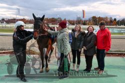 Dateiname=20251026_r07_064_R07_0268.jpg
Dateigröße=320KB
Abmessungen: 1000x667
hinzugefügt am: 28. Oktober 2025 20251026_r07_064_R07_0268.jpg