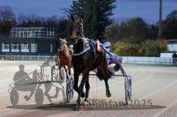 Dateiname=20251026_r08_001_R08_0002.jpg
Dateigröße=296KB
Abmessungen: 1000x667
hinzugefügt am: 29. Oktober 2025 20251026_r08_001_R08_0002.jpg