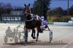 Dateiname=20251026_r08_002_R08_0006.jpg
Dateigröße=283KB
Abmessungen: 1000x667
hinzugefügt am: 29. Oktober 2025 20251026_r08_002_R08_0006.jpg