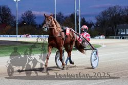 Dateiname=20251026_r08_003_R08_0010.jpg
Dateigröße=289KB
Abmessungen: 1000x667
hinzugefügt am: 29. Oktober 2025 20251026_r08_003_R08_0010.jpg