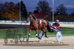 Dateiname=20251026_r08_005_R08_0023.jpg
Dateigröße=290KB
Abmessungen: 1000x667
hinzugefügt am: 29. Oktober 2025 20251026_r08_005_R08_0023.jpg