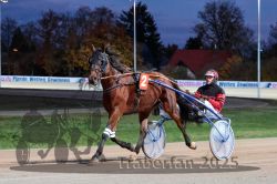 Dateiname=20251026_r08_006_R08_0027.jpg
Dateigröße=298KB
Abmessungen: 1000x667
hinzugefügt am: 29. Oktober 2025 20251026_r08_006_R08_0027.jpg