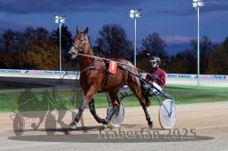 Dateiname=20251026_r08_010_R08_0044.jpg
Dateigröße=282KB
Abmessungen: 1000x667
hinzugefügt am: 29. Oktober 2025 20251026_r08_010_R08_0044.jpg