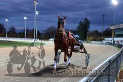 Dateiname=20251026_r08_011_R08_0054.jpg
Dateigröße=290KB
Abmessungen: 1000x667
hinzugefügt am: 29. Oktober 2025 20251026_r08_011_R08_0054.jpg