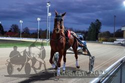 Dateiname=20251026_r08_012_R08_0058.jpg
Dateigröße=282KB
Abmessungen: 1000x667
hinzugefügt am: 29. Oktober 2025 20251026_r08_012_R08_0058.jpg