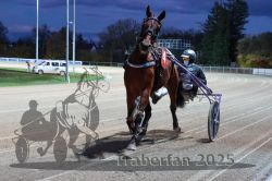 Dateiname=20251026_r08_018_R08_0087.jpg
Dateigröße=295KB
Abmessungen: 1000x667
hinzugefügt am: 29. Oktober 2025 20251026_r08_018_R08_0087.jpg