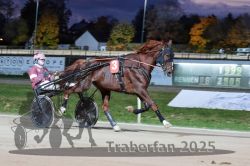 Dateiname=20251026_r08_020_R08_0094.jpg
Dateigröße=269KB
Abmessungen: 1000x667
hinzugefügt am: 29. Oktober 2025 20251026_r08_020_R08_0094.jpg