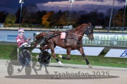 Dateiname=20251026_r08_021_R08_0097.jpg
Dateigröße=261KB
Abmessungen: 1000x667
hinzugefügt am: 29. Oktober 2025 20251026_r08_021_R08_0097.jpg