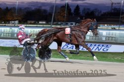 Dateiname=20251026_r08_022_R08_0100.jpg
Dateigröße=278KB
Abmessungen: 1000x667
hinzugefügt am: 29. Oktober 2025 20251026_r08_022_R08_0100.jpg