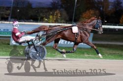 Dateiname=20251026_r08_026_R08_0113.jpg
Dateigröße=256KB
Abmessungen: 1000x667
hinzugefügt am: 29. Oktober 2025 20251026_r08_026_R08_0113.jpg