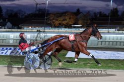 Dateiname=20251026_r08_031_R08_0128.jpg
Dateigröße=286KB
Abmessungen: 1000x667
hinzugefügt am: 29. Oktober 2025 20251026_r08_031_R08_0128.jpg