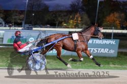 Dateiname=20251026_r08_034_R08_0138.jpg
Dateigröße=274KB
Abmessungen: 1000x667
hinzugefügt am: 29. Oktober 2025 20251026_r08_034_R08_0138.jpg