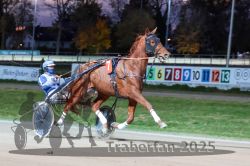 Dateiname=20251026_r08_036_R08_0144.jpg
Dateigröße=286KB
Abmessungen: 1000x667
hinzugefügt am: 29. Oktober 2025 20251026_r08_036_R08_0144.jpg