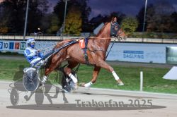 Dateiname=20251026_r08_039_R08_0151.jpg
Dateigröße=274KB
Abmessungen: 1000x667
hinzugefügt am: 29. Oktober 2025 20251026_r08_039_R08_0151.jpg