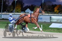 Dateiname=20251026_r08_040_R08_0152.jpg
Dateigröße=275KB
Abmessungen: 1000x667
hinzugefügt am: 29. Oktober 2025 20251026_r08_040_R08_0152.jpg