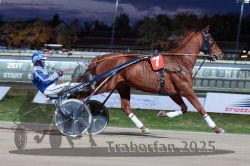 Dateiname=20251026_r08_044_R08_0166.jpg
Dateigröße=289KB
Abmessungen: 1000x667
hinzugefügt am: 29. Oktober 2025 20251026_r08_044_R08_0166.jpg