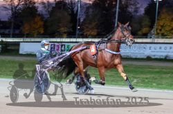 Dateiname=20251026_r08_048_R08_0179.jpg
Dateigröße=277KB
Abmessungen: 1000x667
hinzugefügt am: 29. Oktober 2025 20251026_r08_048_R08_0179.jpg