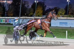 Dateiname=20251026_r08_049_R08_0182.jpg
Dateigröße=279KB
Abmessungen: 1000x667
hinzugefügt am: 29. Oktober 2025 20251026_r08_049_R08_0182.jpg