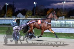 Dateiname=20251026_r08_050_R08_0185.jpg
Dateigröße=245KB
Abmessungen: 1000x667
hinzugefügt am: 29. Oktober 2025 20251026_r08_050_R08_0185.jpg