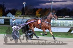 Dateiname=20251026_r08_051_R08_0186.jpg
Dateigröße=262KB
Abmessungen: 1000x667
hinzugefügt am: 29. Oktober 2025 20251026_r08_051_R08_0186.jpg